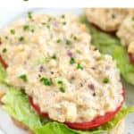 Lettuce, tomato slices, and vegan chicken salad on an open sandwich.