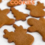 Photo of some vegan gingerbread cookies with the words vegan gingerbread cookies